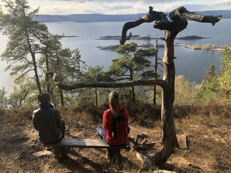 Fra Kyststien Mellom Alværn Og Ellingstad