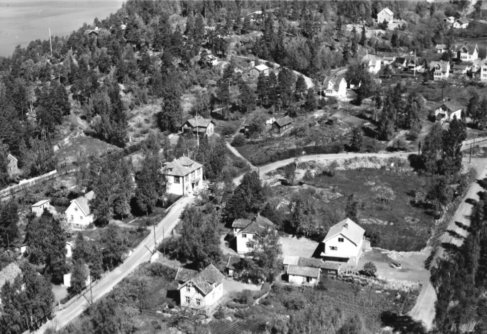 Hokholt og Fjellstrand 1950